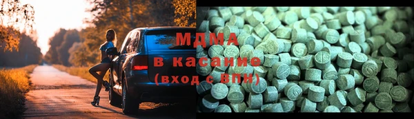 прущие грибы Бородино