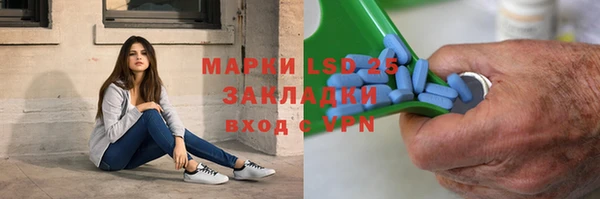 прущие грибы Бородино