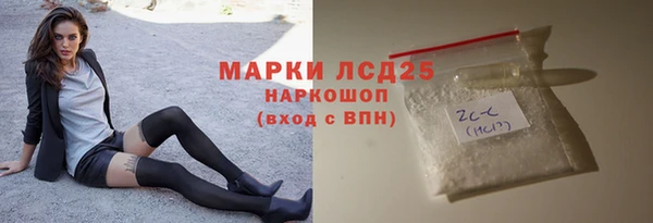 прущие грибы Бородино