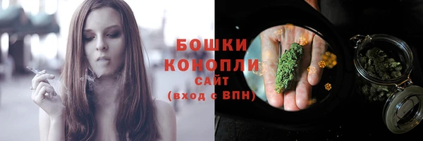 прущие грибы Бородино