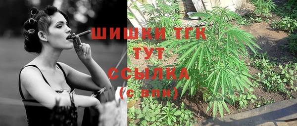 прущие грибы Бородино