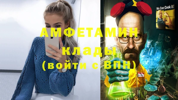 прущие грибы Бородино