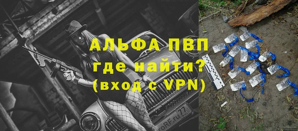 СК Бронницы