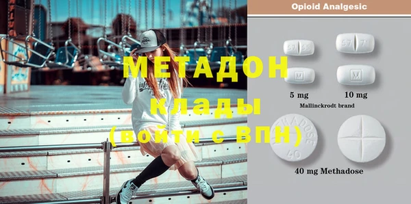 прущие грибы Бородино