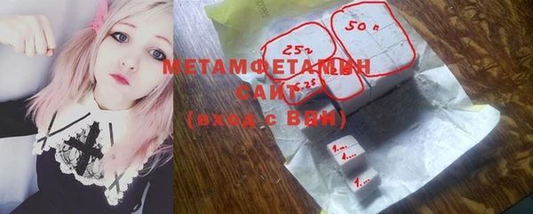 прущие грибы Бородино