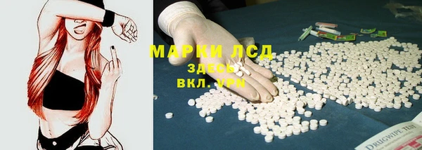 прущие грибы Бородино