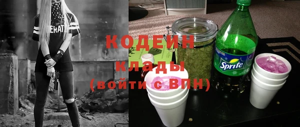 прущие грибы Бородино