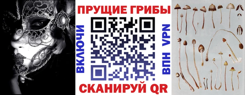 Псилоцибиновые грибы MAGIC MUSHROOMS  Мезень 